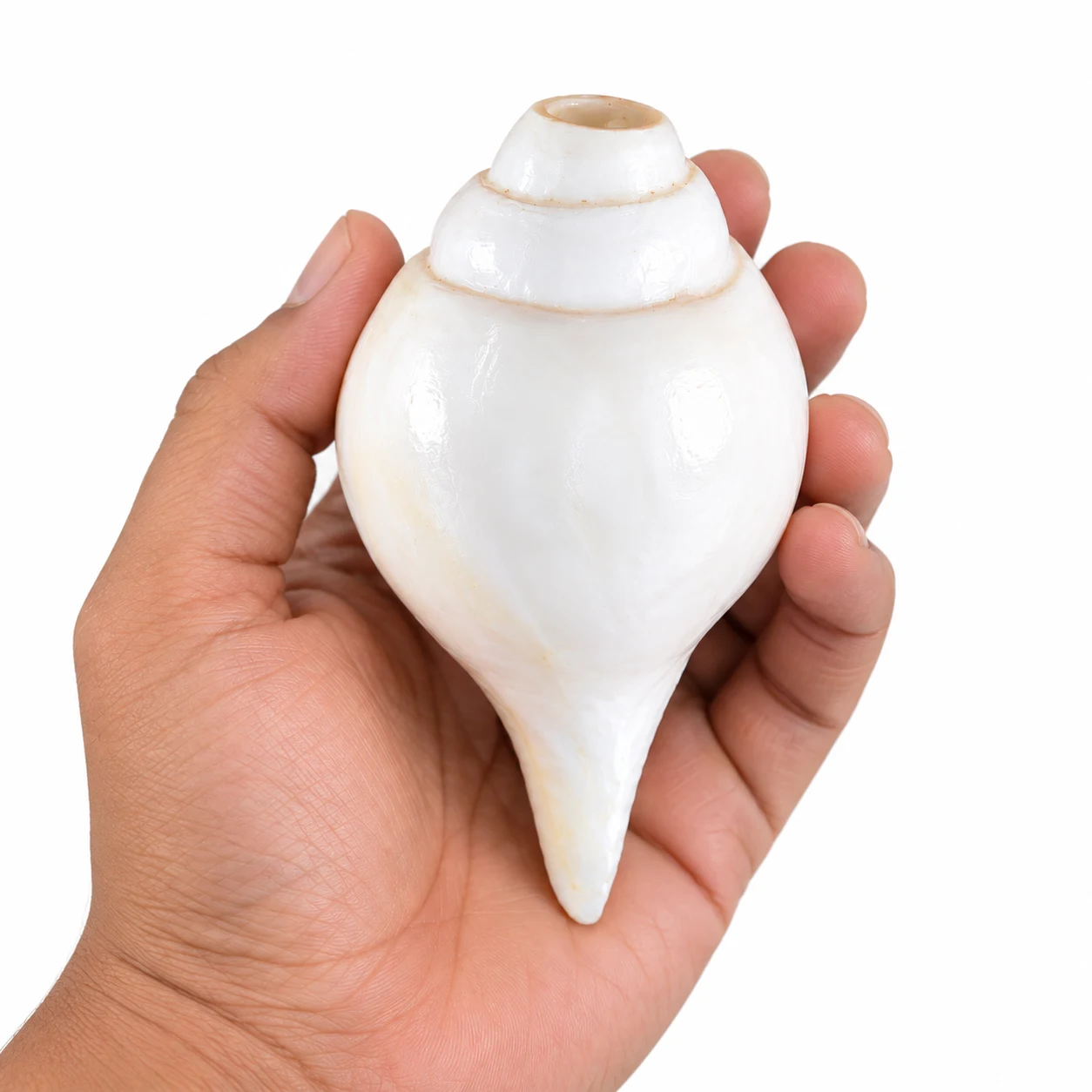 Natural Vishnu Shankha